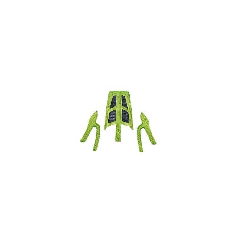Esponja para FORCE RAPTOR VERDE