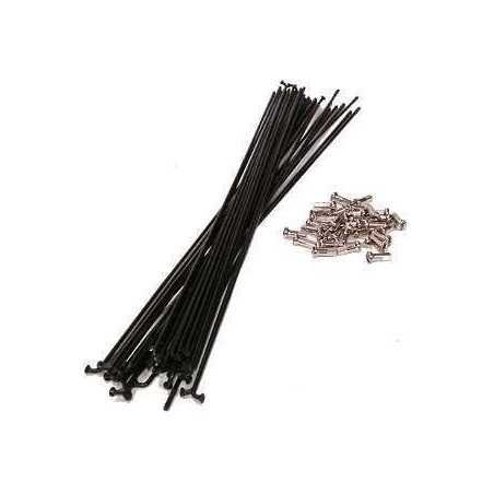 RAIO FRENTE WH6600 Y4CP98010 04038295