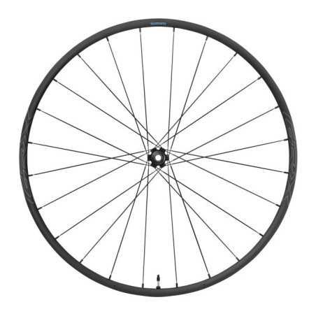 PAIRE DE ROUES RX570-700C CL F/T12