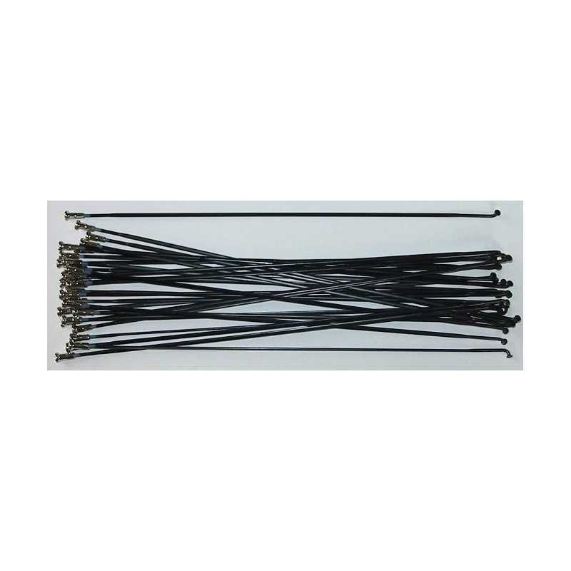 KIT RAIOS(20)FR. R501-30S/L PT EWHSPOKE2SA1 KIT RAIOS(20)FR. R501-30S/L PT EWHSPOKE2SA1