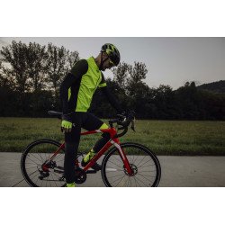 Sunglasses FORCE AMBIENT Photochromic