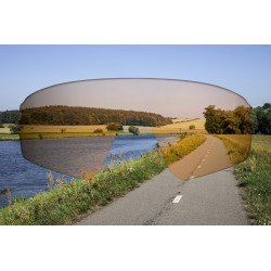 Sunglasses FORCE ELECTRA BLACK