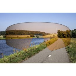 Sunglasses FORCE ELECTRA WHITE