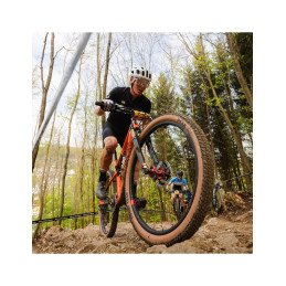 LE PNEU PEAK SL RACE 29X2,25 TLC NOIR BRUN