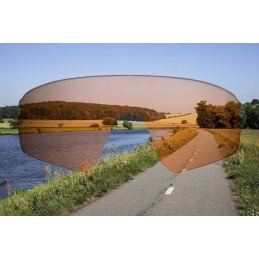 REPLACEMENT LENSES CONTRAST FORCE ATTIC