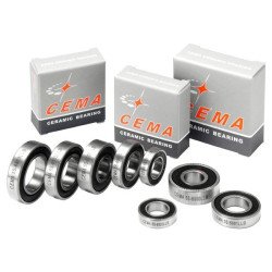 Normal bearing 6900 CEMA Chrome Steel